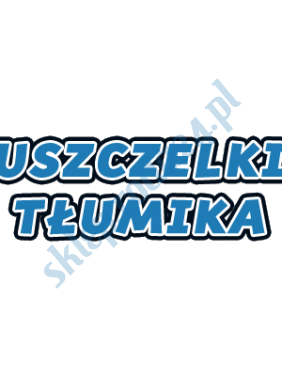 Uszczelki tłumika