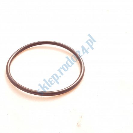 Oring  79,00 mm x 2,00 mm