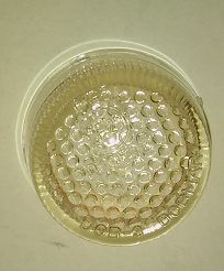 Klosz kierunkowskazu bocznego 126p EL, CC biały