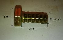 Śruba M 10 x 1,25 x 25  8.8 126p - 2