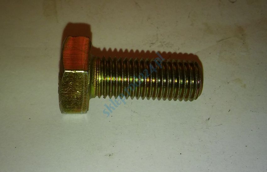 Śruba M 10 x 1,25 x 25  8.8 126p