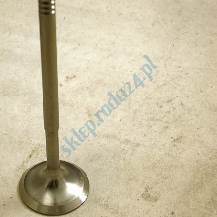 Zawór ssący VW, Skoda, Seat, Audi Paradowscy