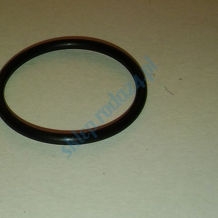 Oring  21,00 mm x 2,50 mm