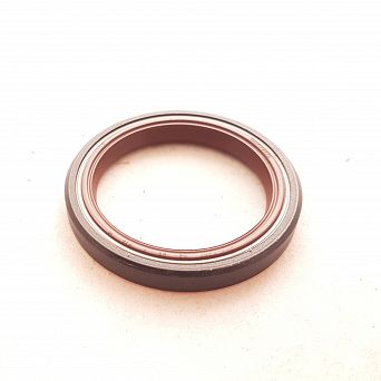 Simmering   42 x 54 x 6 AO FPM Corteco