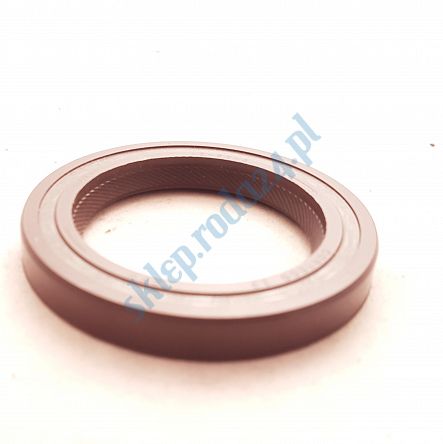 Simmering   45 x 65 x 10 AO