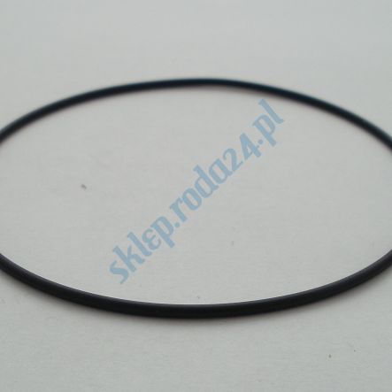 Oring 100,00 mm x 2,00 mm 