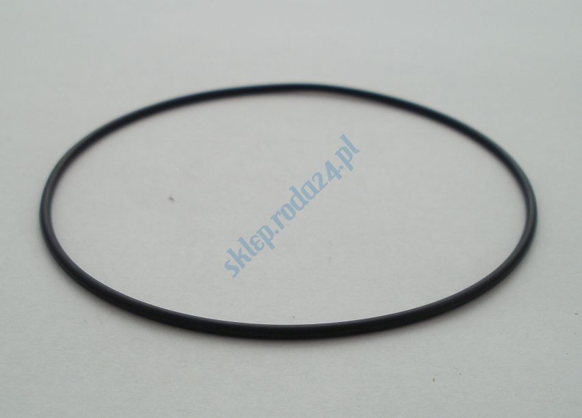 Oring 100,00 mm x 2,00 mm 