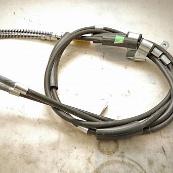 Linka ham. 11.01.09 Tico Hart