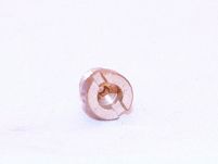 Dysza główna gaźnika  