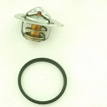 Termostat 5504.82  FSO 1300, 1500 Stahlter