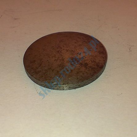 Zaślepka wału korbowego 22,0 mm 126p