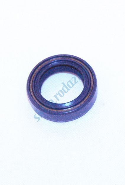 Simmering   19 x 32 x 8 AO NBR Corteco