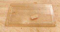 Klosz cofania lampy tył P PN ST Zelmot