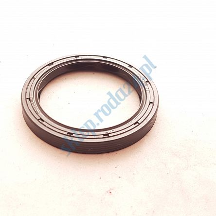 Simmering   45 x 62 x 12 AO