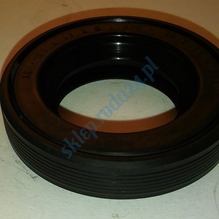 Simmering   17 x 30 x 8 AO