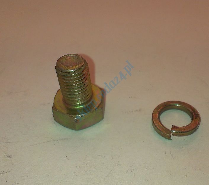 Śruba M 10 x 1,25 x 15  8.8  126p + podkładka Fiat