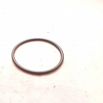 Oring  37,00 mm x 3,50 mm Fiat
