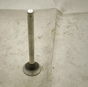 Zawór wydechowy CC, SC 900, Fiat Paradowscy