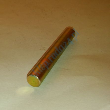 Sworzeń zawiasu drzwi 126p