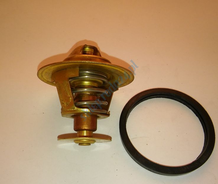 Termostat 6593.85  FSO, PN, PN Caro Metal-Incar