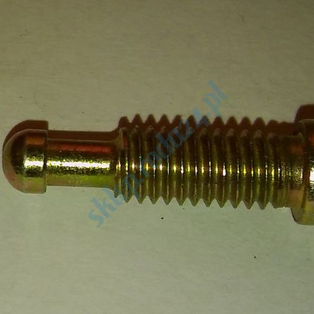 Śruba zawiasu szyby bocznej tył 126p