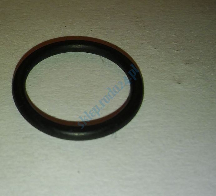 Oring  17,00 mm x 2,50 mm EPDM