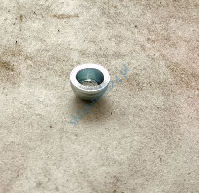 Zaślepka wału korbowego 10,0 mm PN