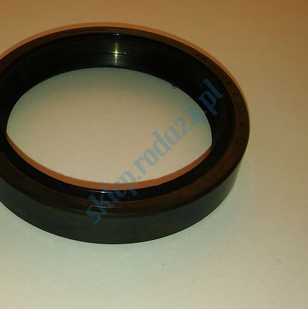 Simmering   42 x 68 x 10 A