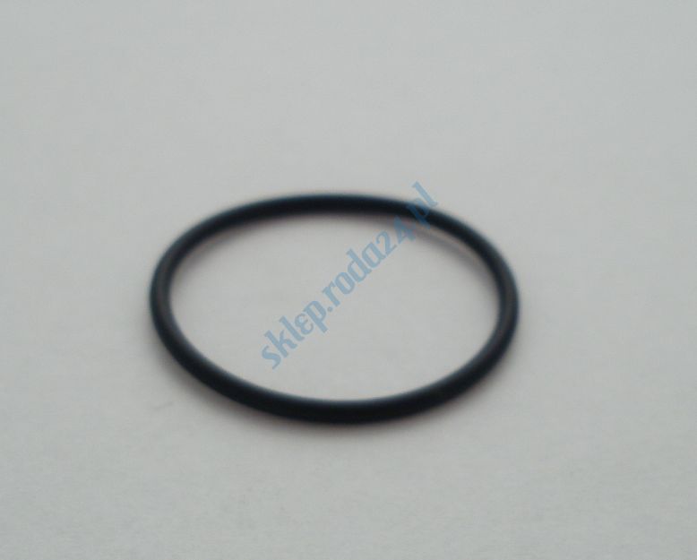 Oring  22,00 mm x 1,50 mm