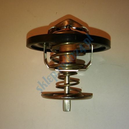 Termostat 6593.88  FSO, PN, PN Caro Stahlter