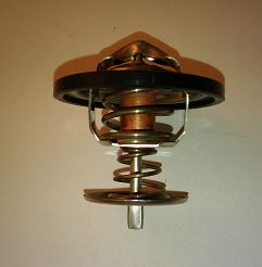 Termostat 6593.88  FSO, PN, PN Caro Stahlter