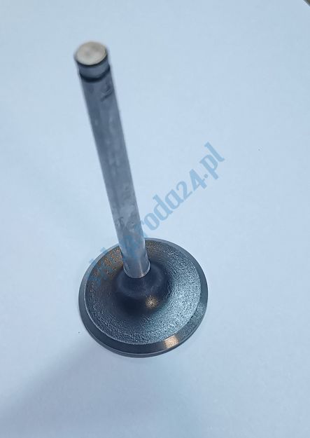 Zawór ssący Lanos, Nubira 1.4, 1.5 SOHC Paradowscy
